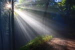 Františkánská lesní stezka ke světovému Dni modliteb za péči o Stvoření v Hradci Králové