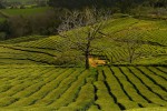 Pozvánka na přednášku "Madeira a Azory"