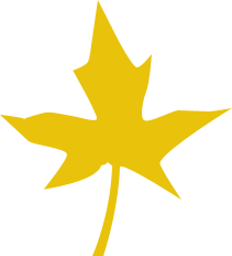 Logo Simeon.cz - podzimní list jako symbol stáří Proč právě Simeon(.cz)?