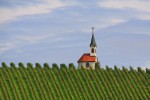 Co všechno bude muset ještě Ježíš proměnit v našem životě, abychom v něj i my opravdu, bytostně, uvěřili?